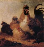 Aelbert Cuyp Rooster and Hens oil painting reproduction